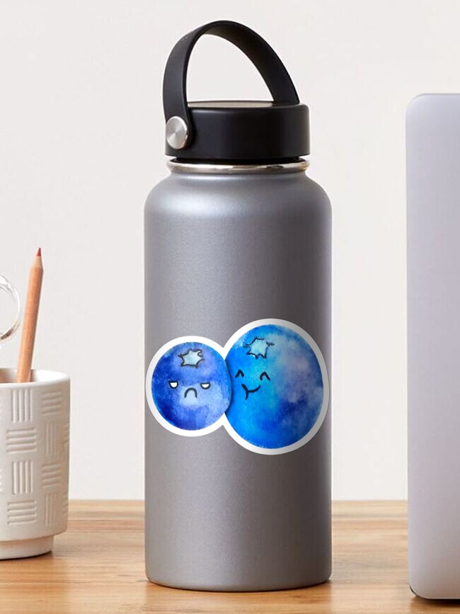 Blueberry hydro store flask with stickers