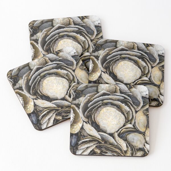Item preview, All of the Shells designed and sold by Daniel's Destinations.