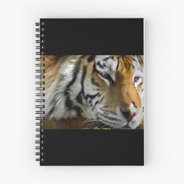 Item preview, Tiger's Gaze designed and sold by mvladd.