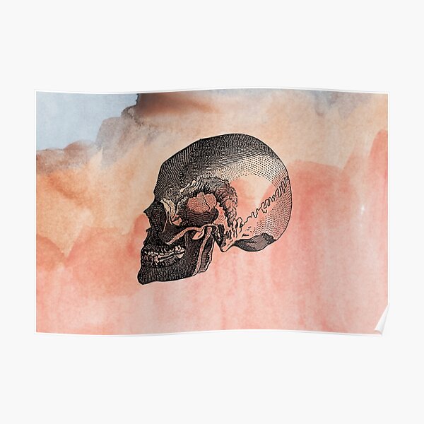 "Skull Art Work, Unique Skulls" Poster for Sale by ROSACALDOR Redbubble