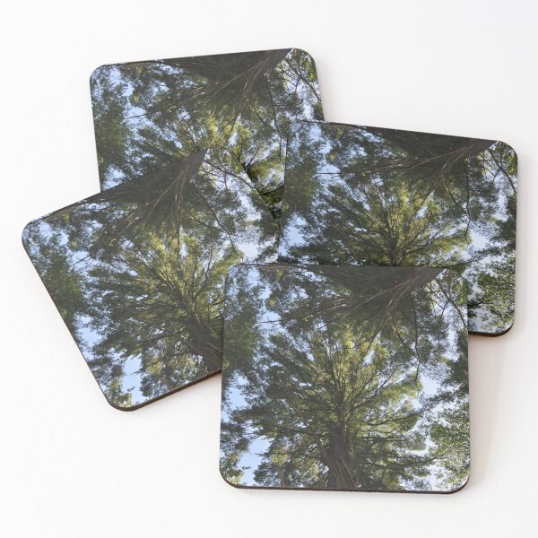 Item preview, Canopy designed and sold by Theophanes Avery.
