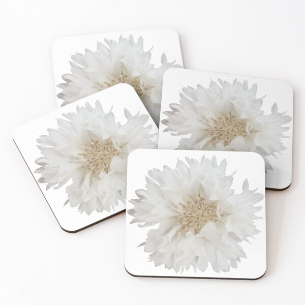 Item preview, Flor blanca Aciano Bodegón Fotografía floral designed and sold by CottoVerdi.