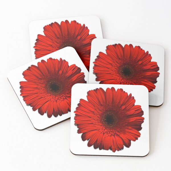 Item preview, red gerbera flower white background designed and sold by TheSpaceShip.