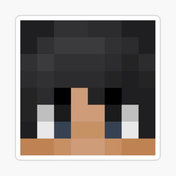 Sapnap, Minecraft Skin