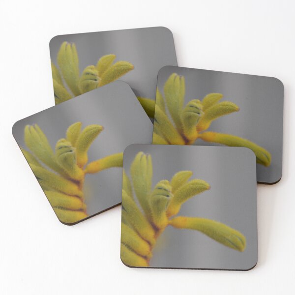 Item preview, Kangaroo Paw designed and sold by JoshAusReps.