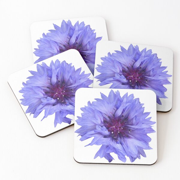 Item preview, Flor azul Aciano Bodegón Floral Photography designed and sold by CottoVerdi.