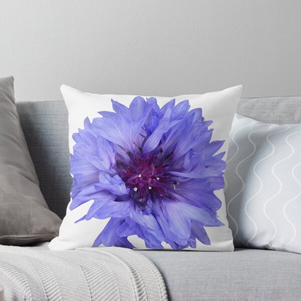 Artikelvorschau, Blaue Blume Kornblume Stillleben Blumenfotografie entworfen und verkauft von CottoVerdi.