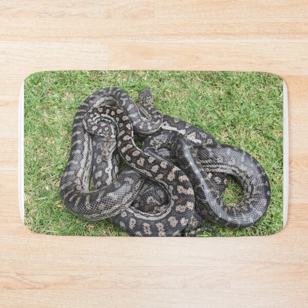 Item preview, Murray Darling Carpet Pythons designed and sold by JoshAusReps.