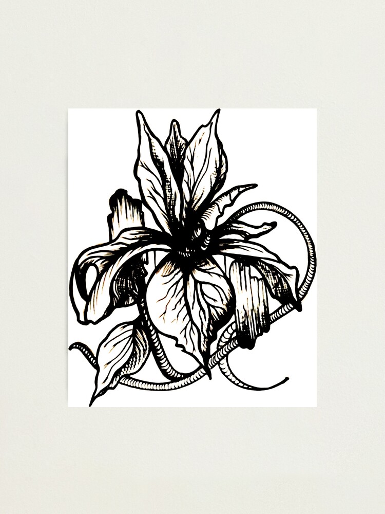 Iris for Amelia  thank you johnotattooer blackiristattoo  Iris tattoo  Flower tattoo sleeve Sleeve tattoos