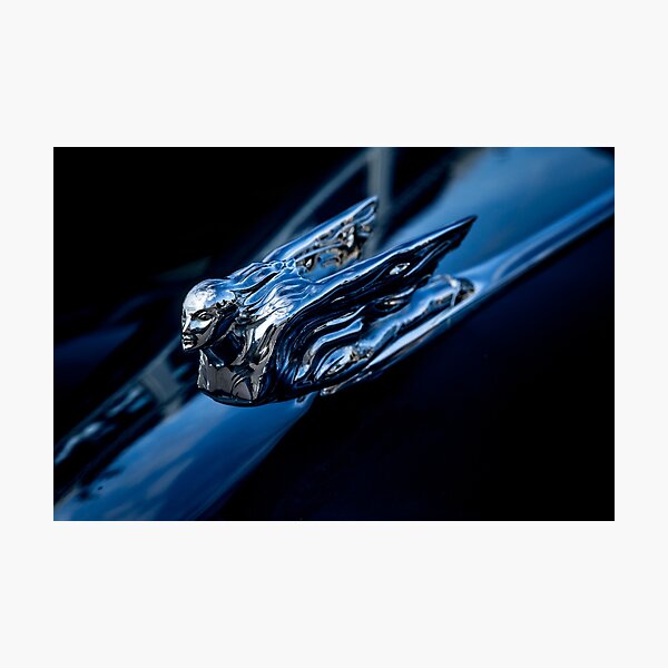 1941 Cadillac Photographic Print