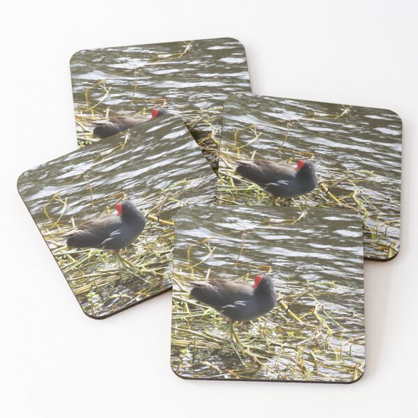 Item preview, Red Crested Water Chicken Common Gallinule designed and sold by toddbrooney.