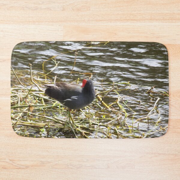 Item preview, Red Crested Water Chicken Common Gallinule designed and sold by toddbrooney.