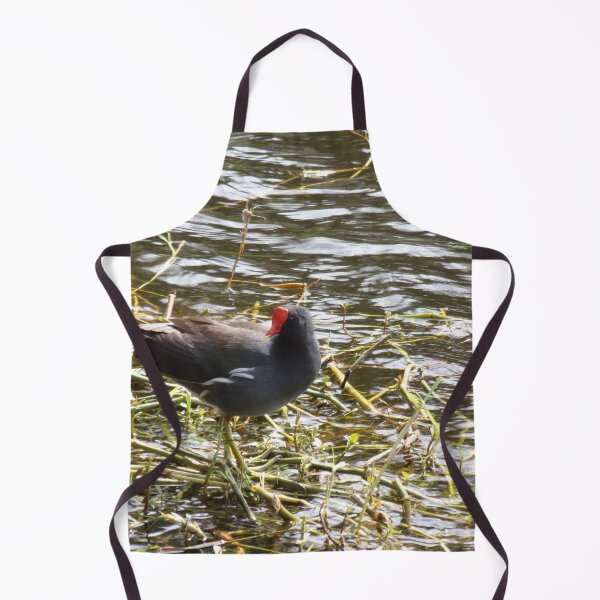 Item preview, Red Crested Water Chicken Common Gallinule designed and sold by toddbrooney.
