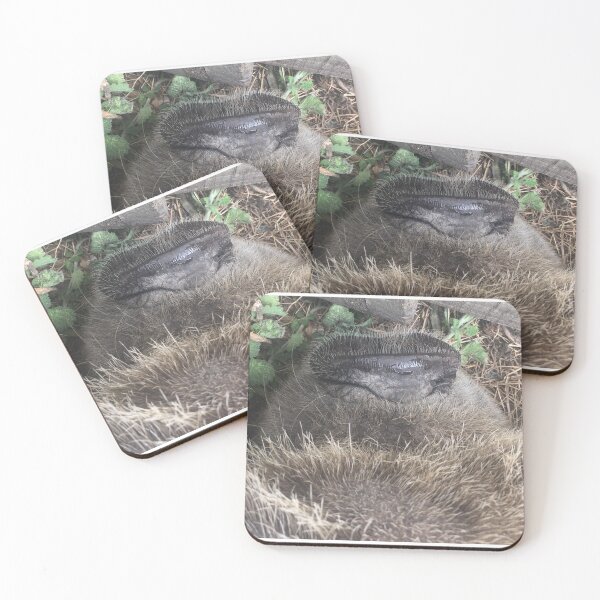 Item preview, Roxy designed and sold by Terra Dumont.