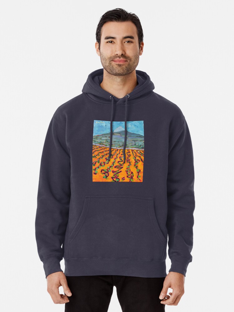 Dermot kennedy cheap wicklow mountains hoodie