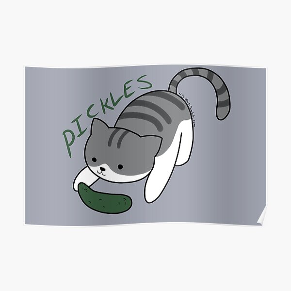 Pickles The Cat Poster
