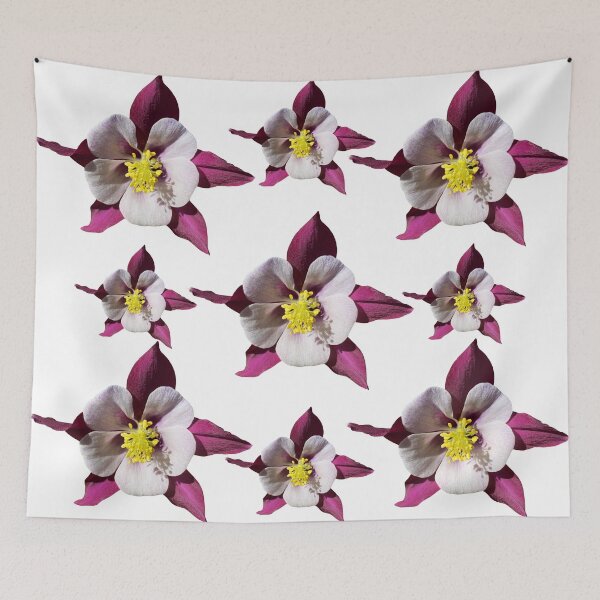 Item preview, Purple Flower Columbine Aquilegia Still Life Floral Photography designed and sold by CottoVerdi.