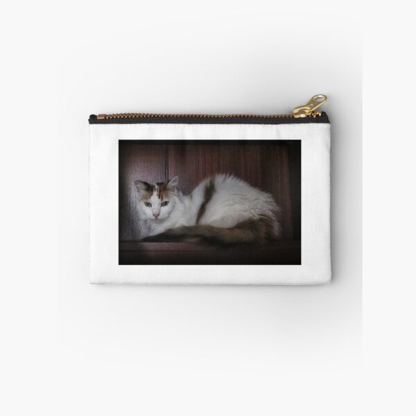 Item preview, Pia Shelved designed and sold by Christina Backus.