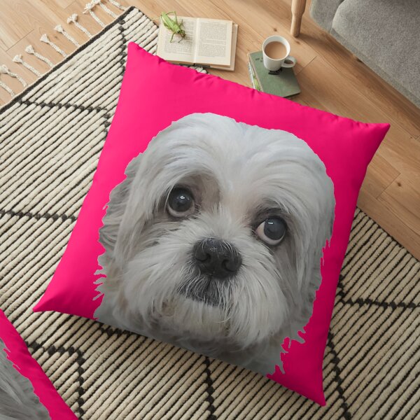 Bijou 02 Coussin de sol