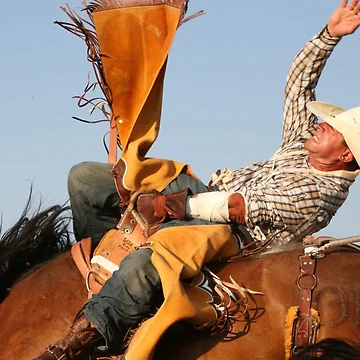 Aperçu de l'œuvre Rodeo Bareback Rider de Rodeo-Photos