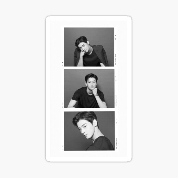 Tira de fotos de Cha Eunwoo Pegatina