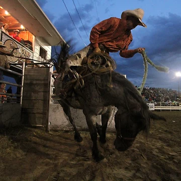 Artwork thumbnail, Bronc Rider Closeup by Rodeo-Photos