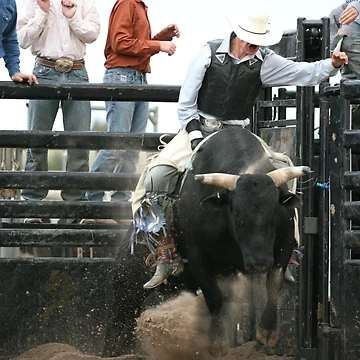 Artwork thumbnail, Bull Rider Breakout by Rodeo-Photos