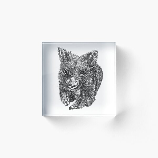 Bill the Baby Wombat Acrylic Block