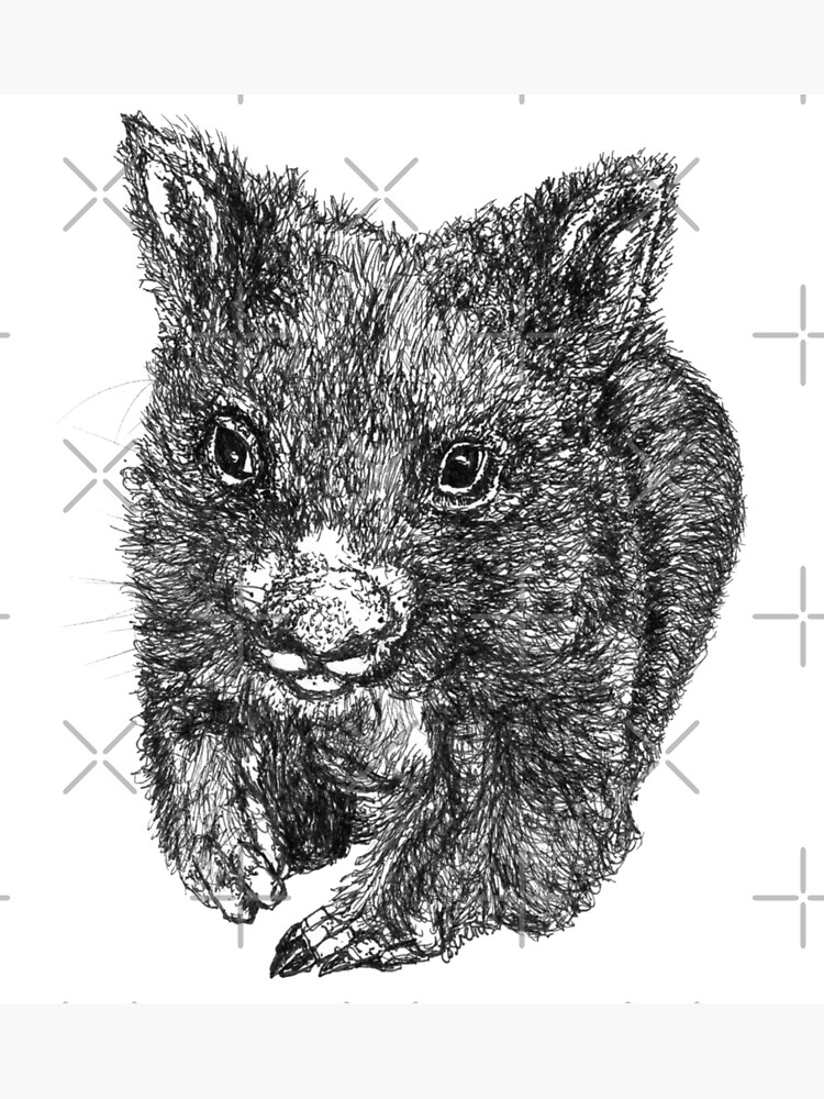 Bill the Baby Wombat by Wildcard-Sue