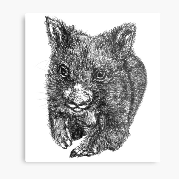Bill the Baby Wombat Metal Print