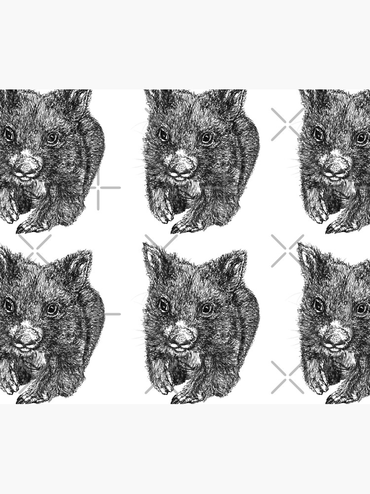 Bill the Baby Wombat by Wildcard-Sue