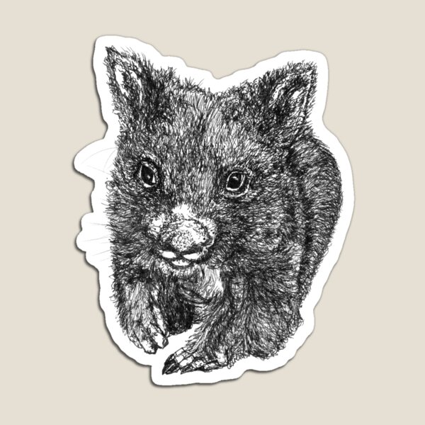 Bill the Baby Wombat Magnet