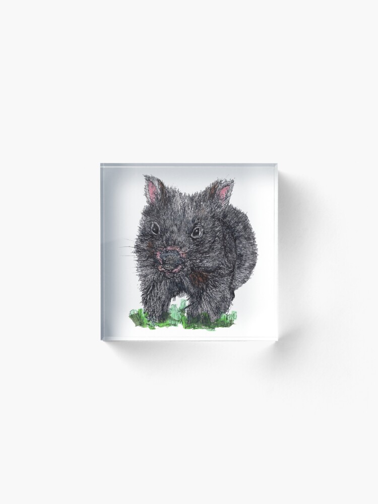 Alternate view of Billie the Baby Wombat Acrylic Block