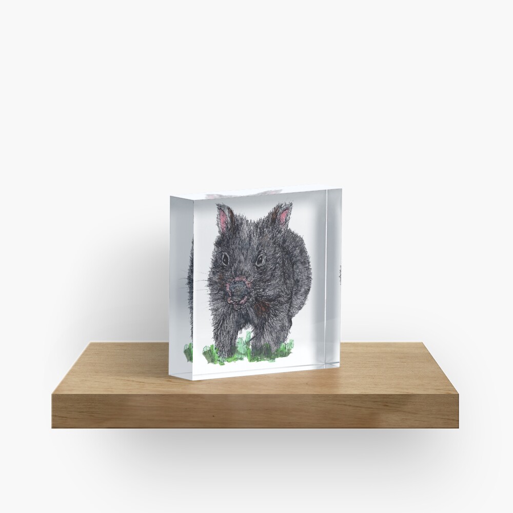 Billie the Baby Wombat Acrylic Block