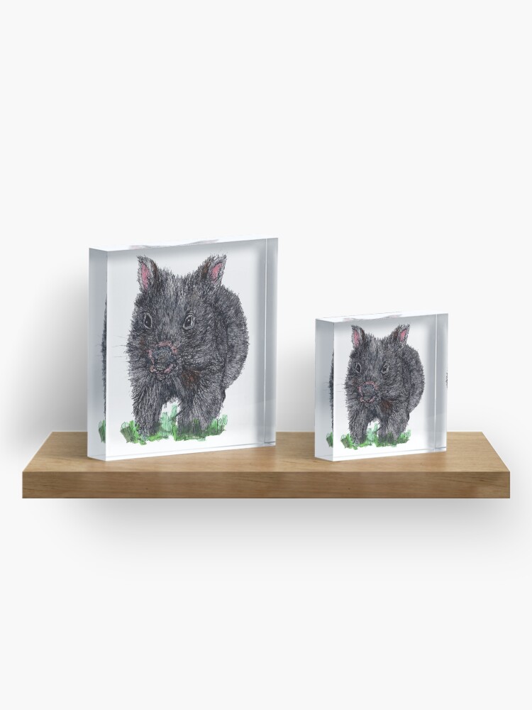 Alternate view of Billie the Baby Wombat Acrylic Block