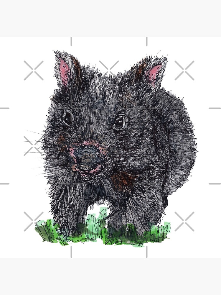 Billie the Baby Wombat by Wildcard-Sue