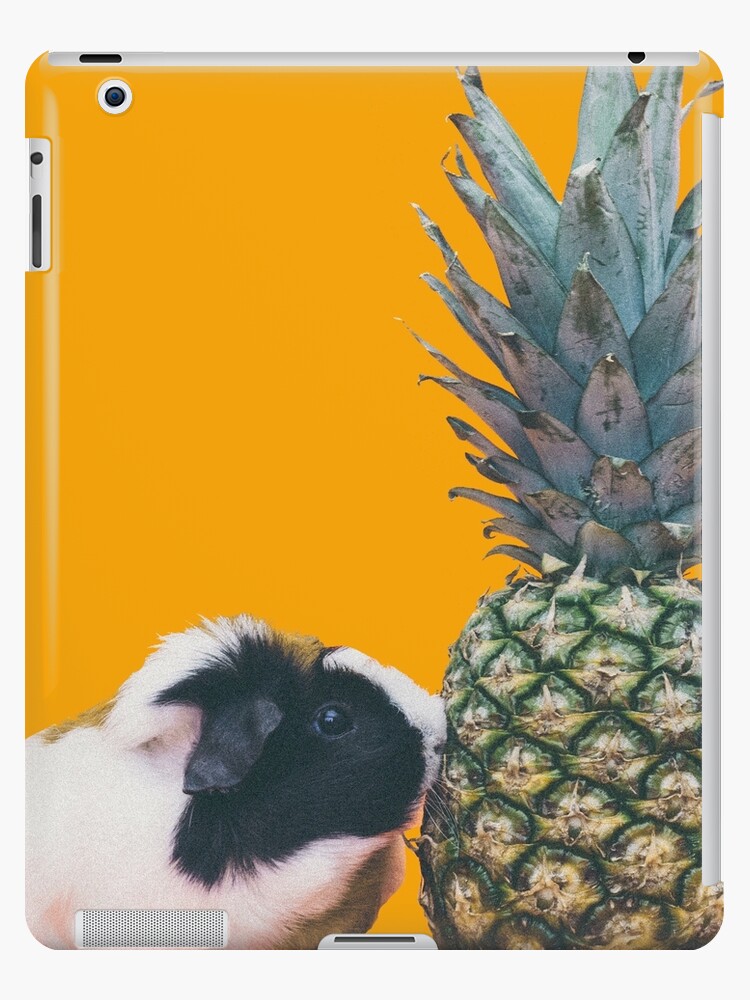 Pineapple for guinea pigs best sale