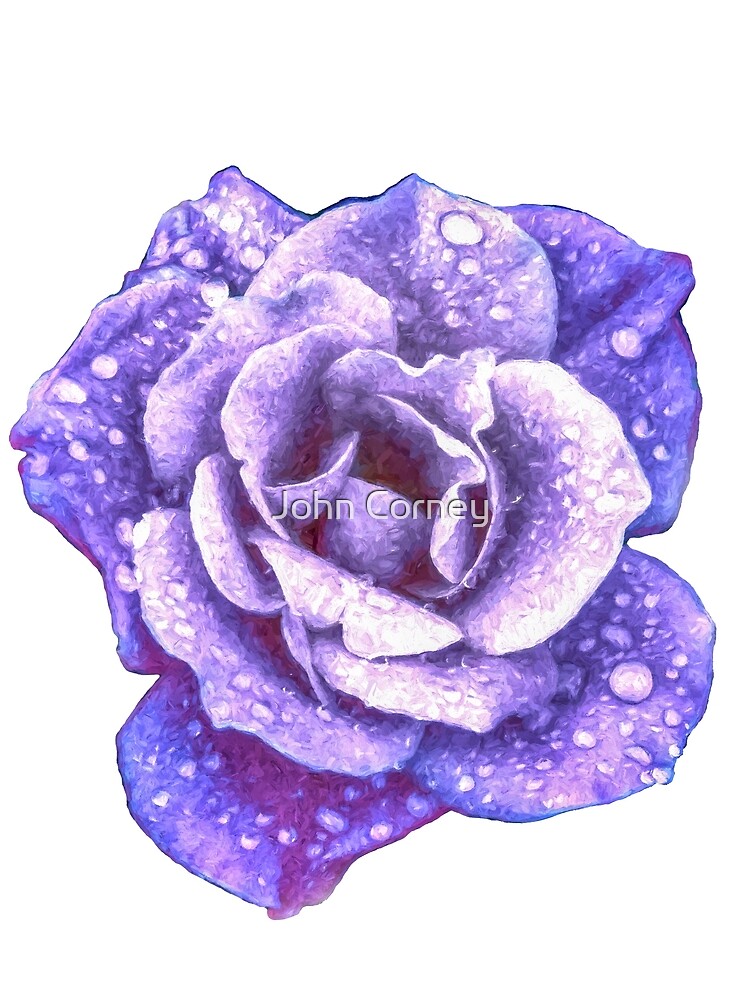 Thumbnail 6 of 6, Chiffon Top, Midnight Purple Rose with Raindrops designed and sold by John Corney.