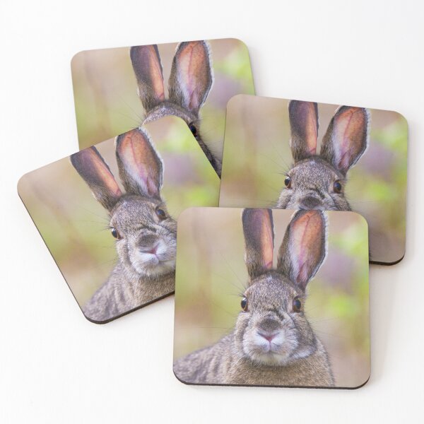 Item preview, Snowshoe Hare designed and sold by Jukka Jantunen.