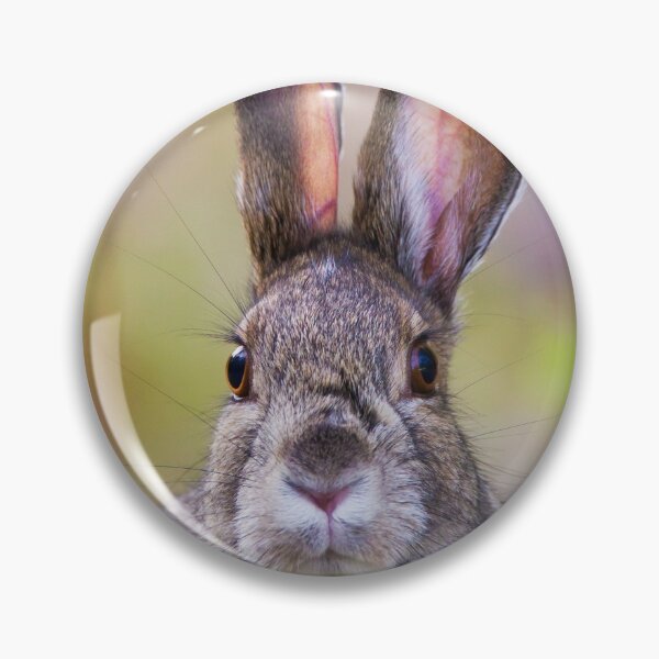Item preview, Snowshoe Hare designed and sold by Jukka Jantunen.