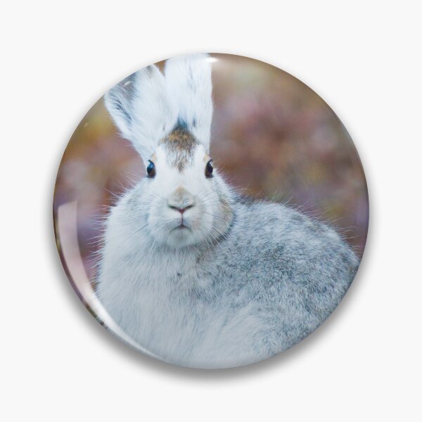 Item preview, Snowshoe Hare designed and sold by Jukka Jantunen.