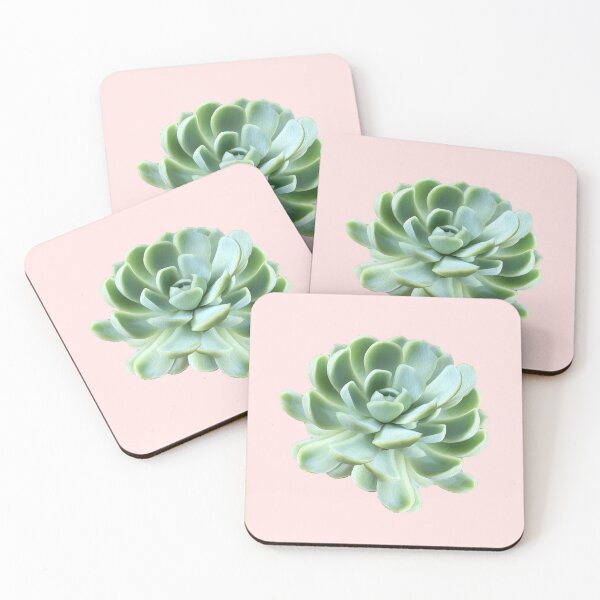 Item preview, Succulent Plant designed and sold by ind3finite.
