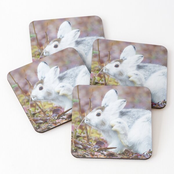 Item preview, Snowshoe Hare designed and sold by Jukka Jantunen.