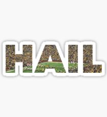Hail Michigan Fußball Sticker