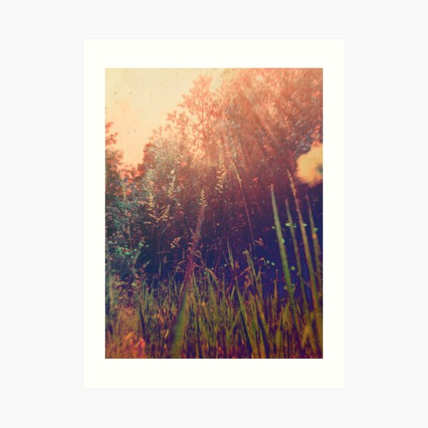 Vintage 3 Impression artistique