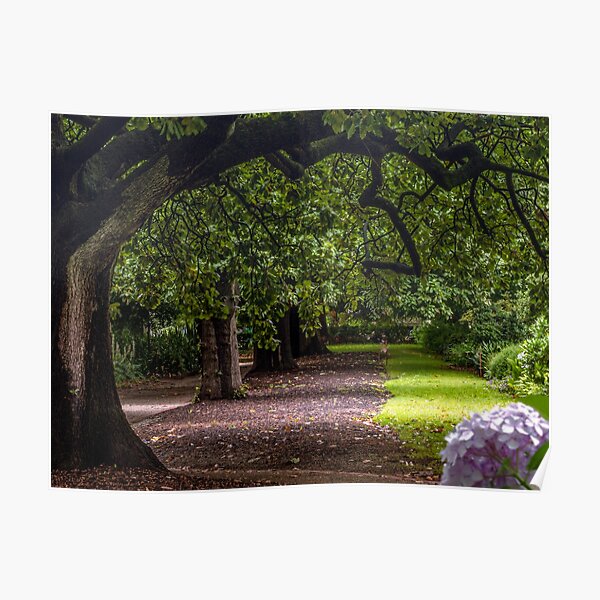 ST VINCENTS GARDENS ALBERT PARK Poster