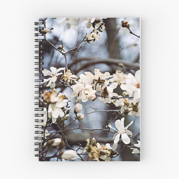 Item preview, Magnolia Blossoms designed and sold by Bill Wetmore.