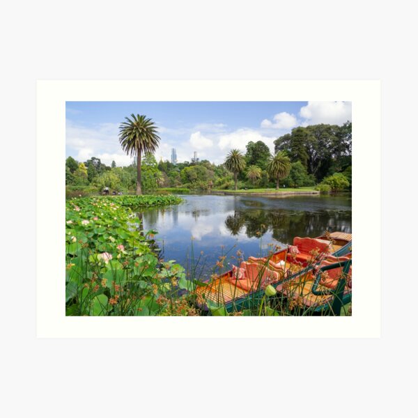 ORNAMENTAL LAKE AT MELBOURNE BOTANIC GARDENS Art Print