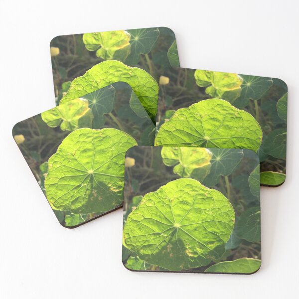 Item preview, Nasturtium designed and sold by Terra Dumont.