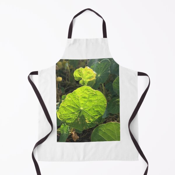 Item preview, Nasturtium designed and sold by Terra Dumont.